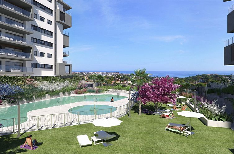 Guest house 14915113 - Apartment Costa Blanca - Appartement in Campoamor