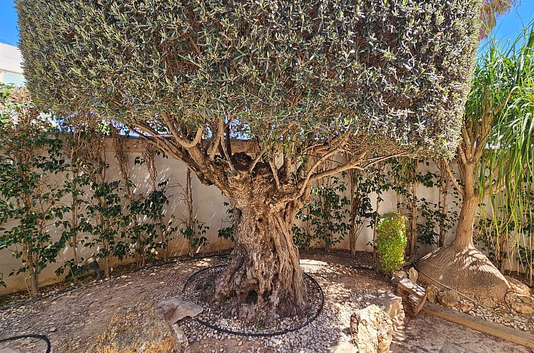 Vrijstaande woning in Ciudad Quesada