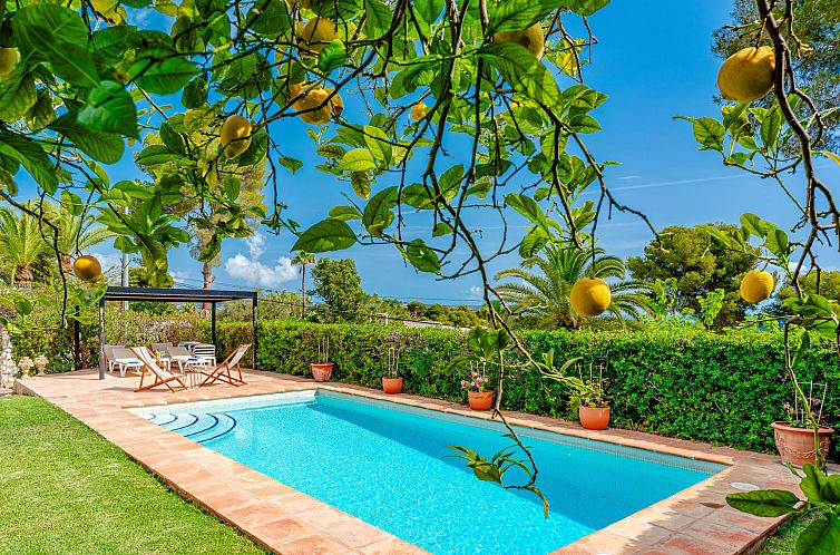 Vakantiehuis Villa Pomelo Plus
