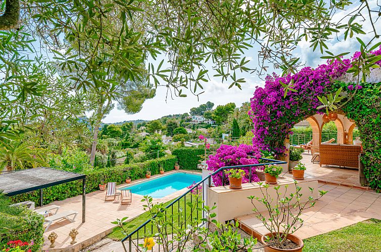 Vakantiehuis Villa Pomelo Plus