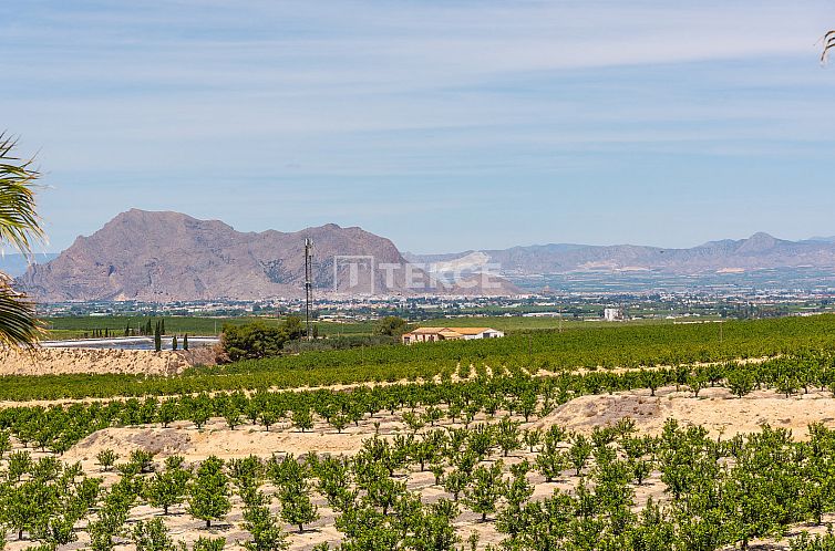 Vrijstaande woning in Algorfa