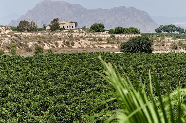 Appartement in Algorfa