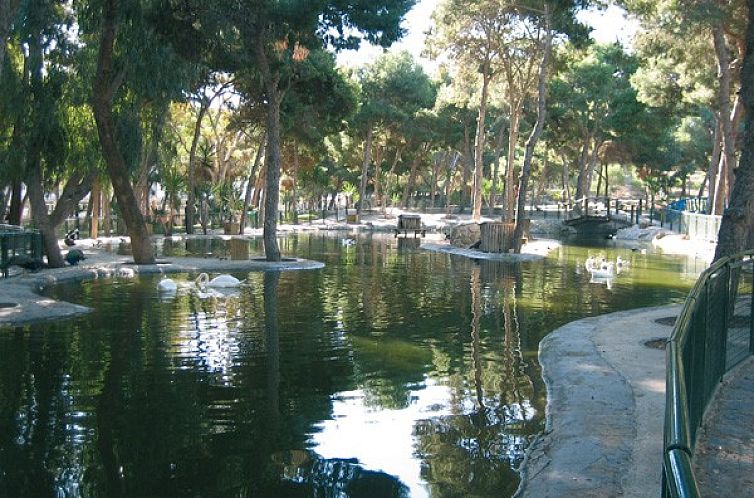 Appartement in Algorfa