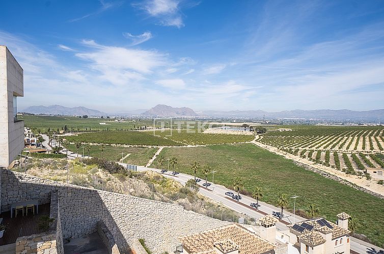 Vrijstaande woning in Algorfa