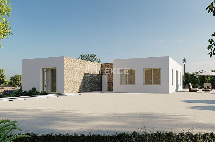 Vrijstaande woning in Algorfa