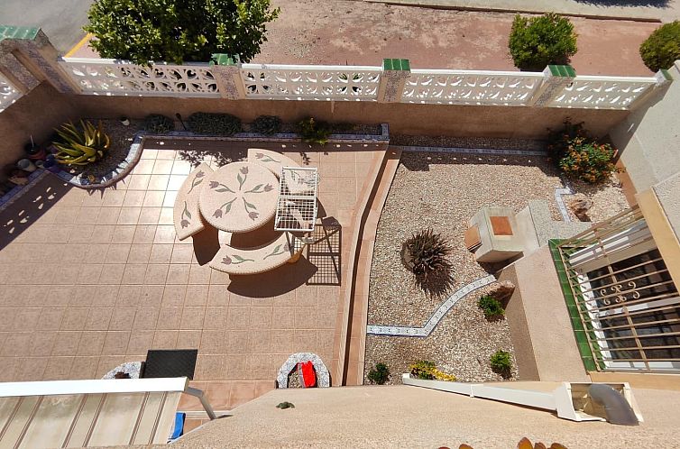 Chalet in Algorfa