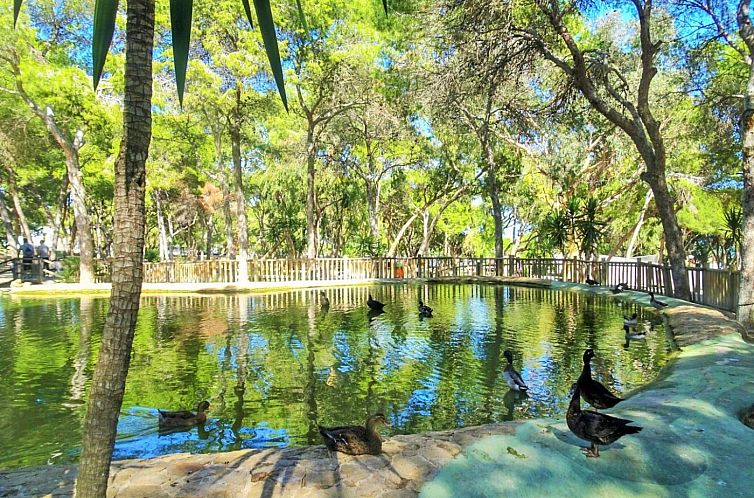 Appartement in Guardamar del Segura