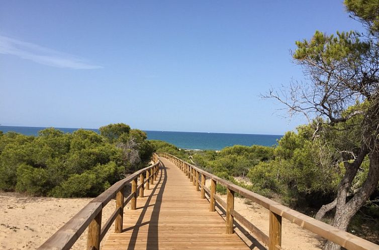 Discover the serene walk to the beach at Casa Georgio - oasis Beach, located in scenic Guardamar del Segura, Spain.