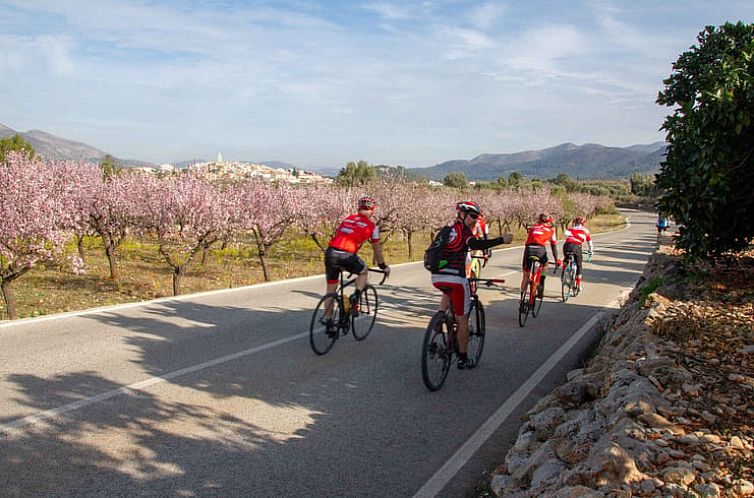 Huisje in Benigembla