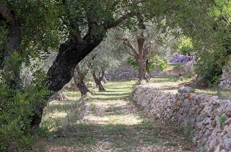 Huisje in Benigembla