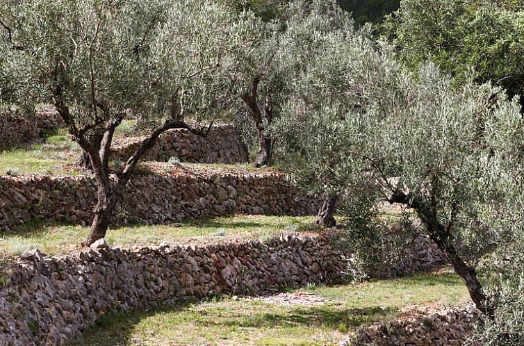 Huisje in Benigembla