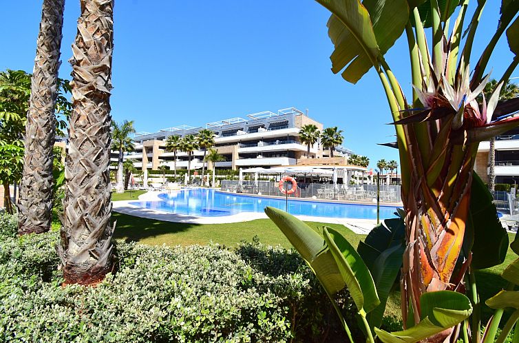 Appartement in Orihuela