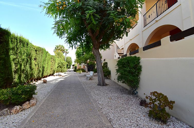 Appartement in Orihuela