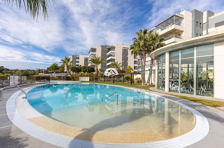 Guest house 14927507 - Apartment Costa Blanca - Appartement in Orihuela