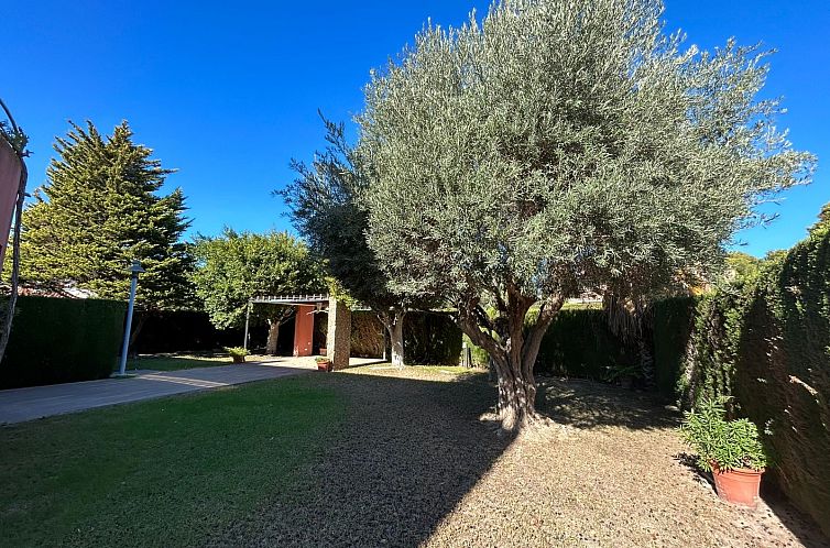 Geschakelde woning in Orihuela