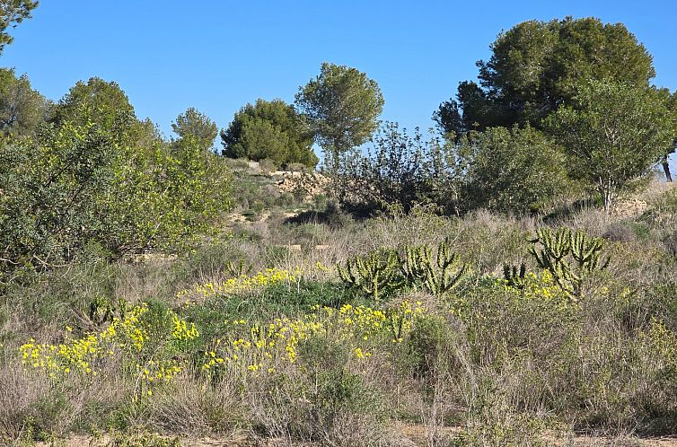 Appartement in Orihuela