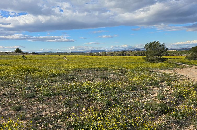 Appartement in Orihuela