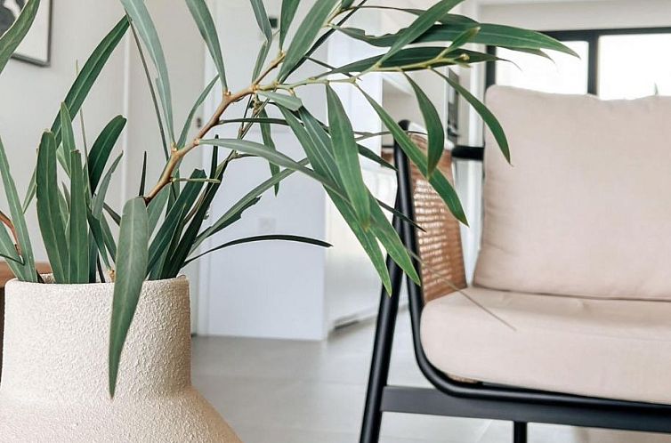 Appartement in Orihuela