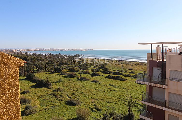 Unterkunft 14927843 - Appartement Costa blanca - Appartement in Orihuela