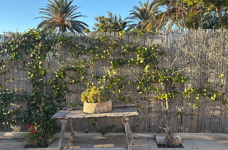 Vrijstaande woning in Dolores