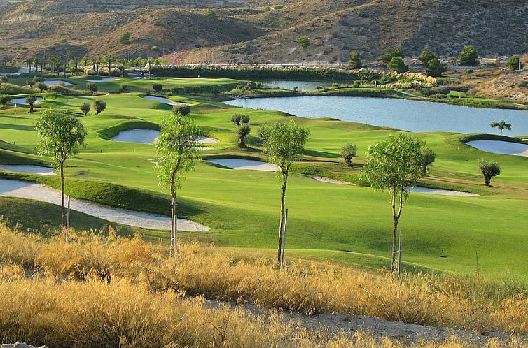 Appartement in Monforte Del Cid