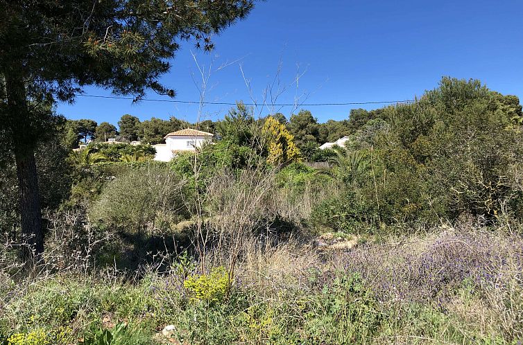 Unterkunft 14930202 - Ferienhaus Costa blanca - Kavel in Jávea - Xàbia