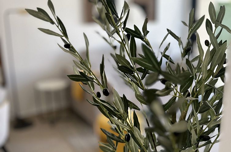 Appartement in San Fulgencio