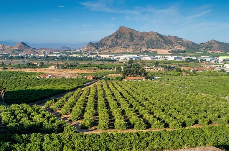 Appartement in San Fulgencio