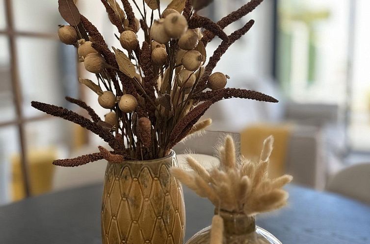 Appartement in San Fulgencio