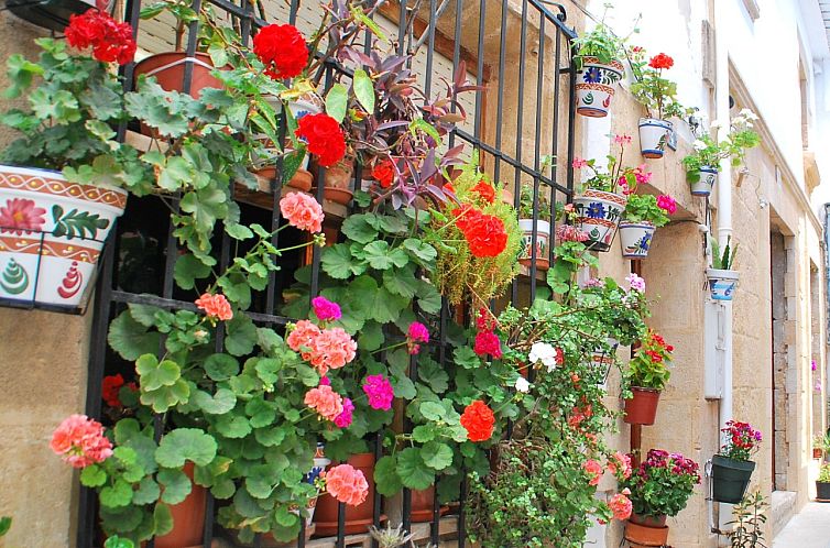 Vrijstaande woning in Jávea - Xàbia