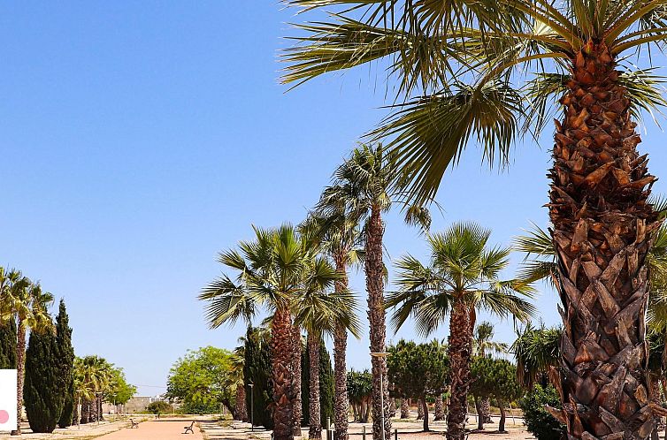 Vrijstaande woning in San Fulgencio