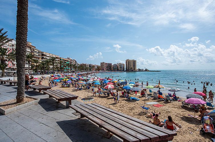 Appartement in Torrevieja
