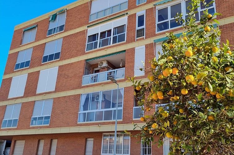 Appartement in Torrevieja