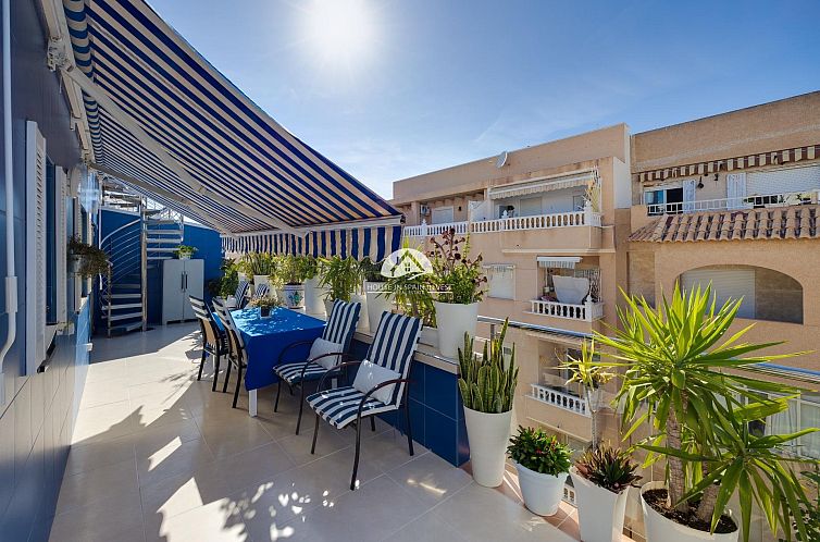 Appartement in Torrevieja