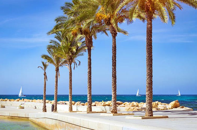 Appartement in Torrevieja