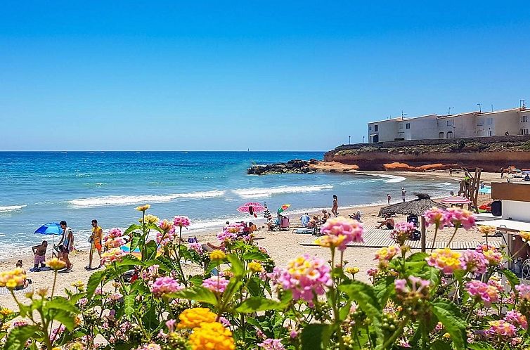 Appartement in Playa Flamenca