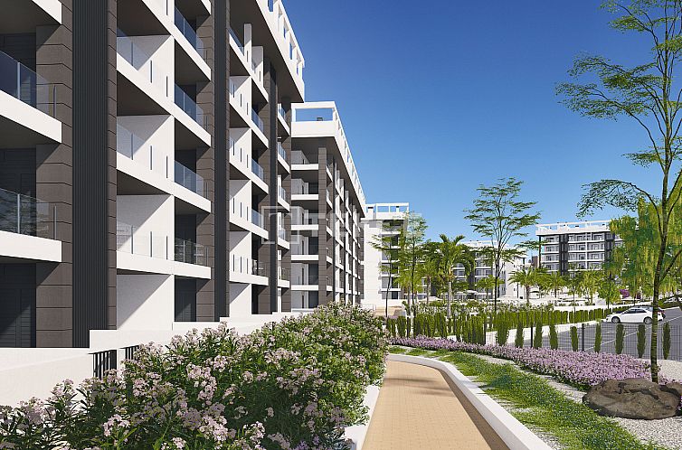 Appartement in Torrevieja