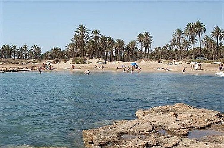 Appartement in Torrevieja