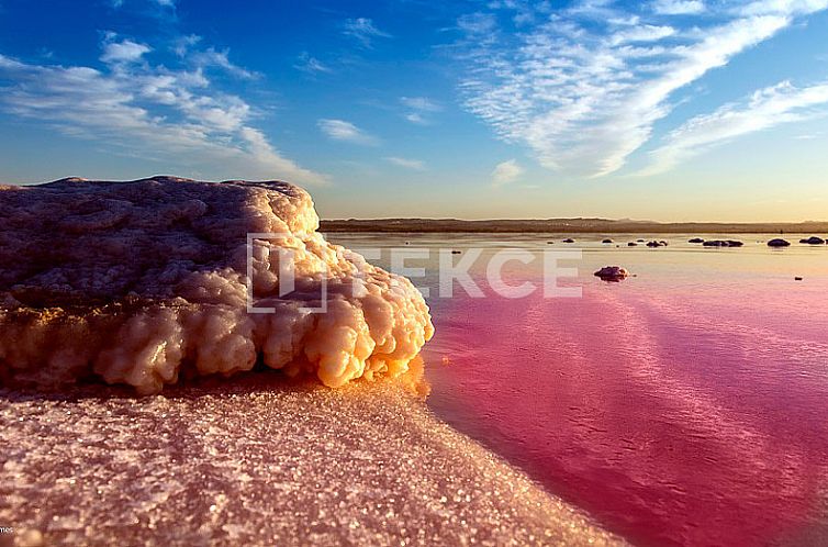 Appartement in Torrevieja
