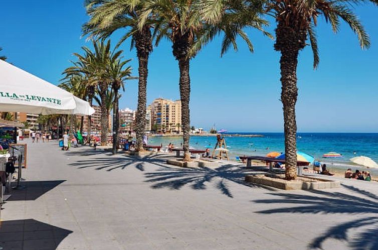Appartement in Torrevieja