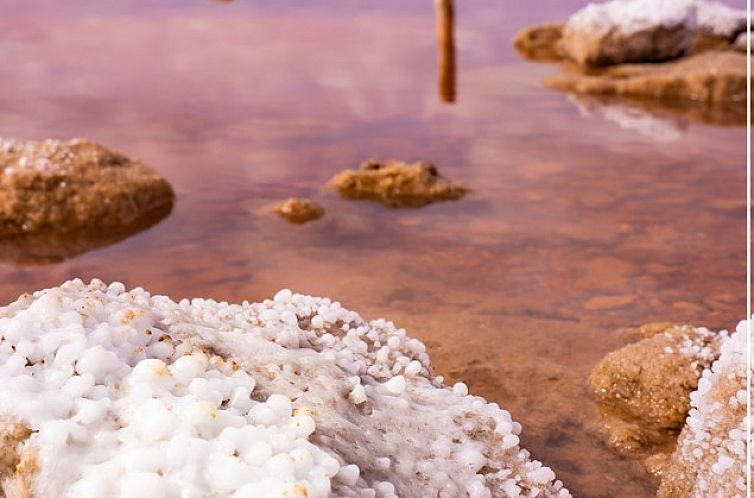 Appartement in Torrevieja