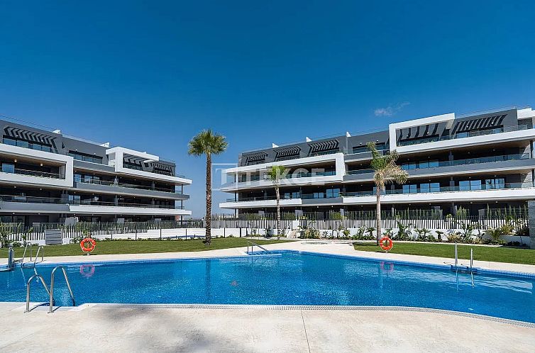Unterkunft 14931720 - Appartement Costa blanca - Appartement in Torrevieja Centro