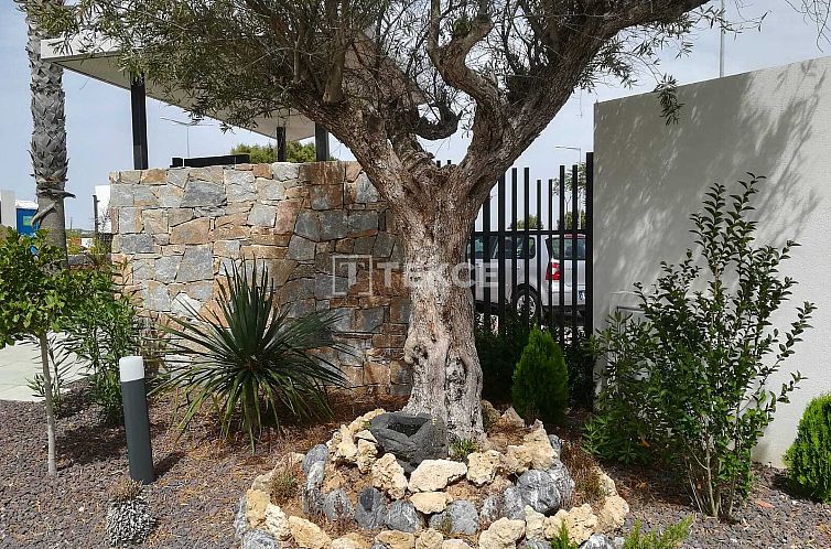 Appartement in Torrevieja