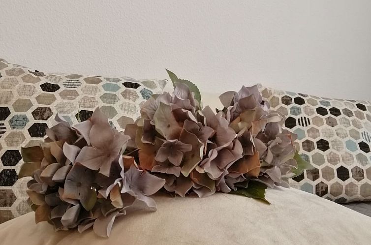 Appartement Ferienstudio