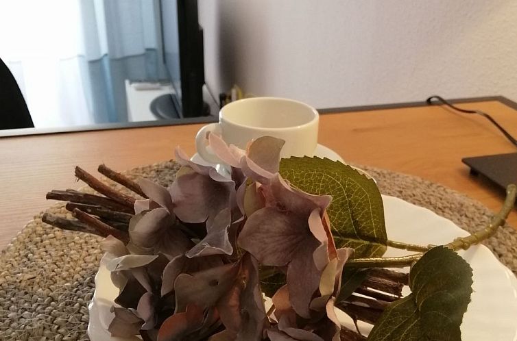 Appartement Ferienstudio