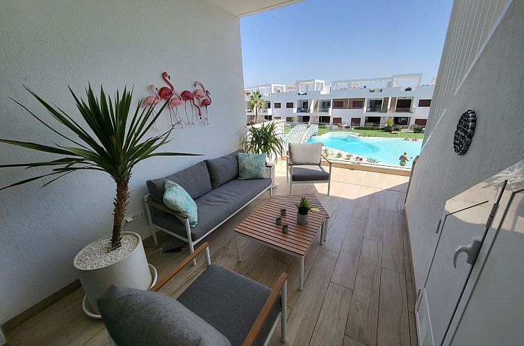 Unterkunft 14931896 - Appartement Costa blanca - Appartement Penthouse in Torrevieja