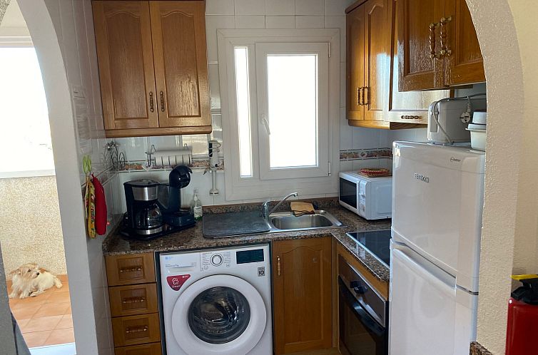 Appartement Gemütliche, helle Wohnung sehr gut ausgestattet