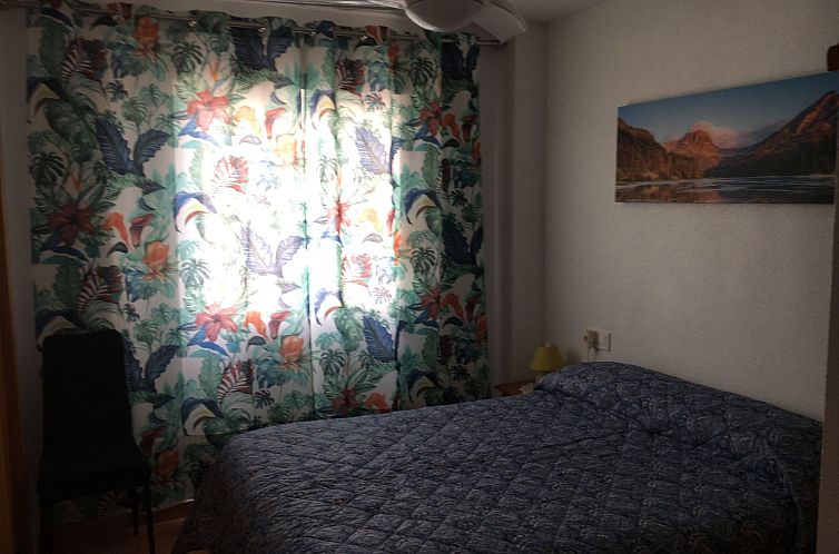 Appartement Gemütliche, helle Wohnung sehr gut ausgestattet