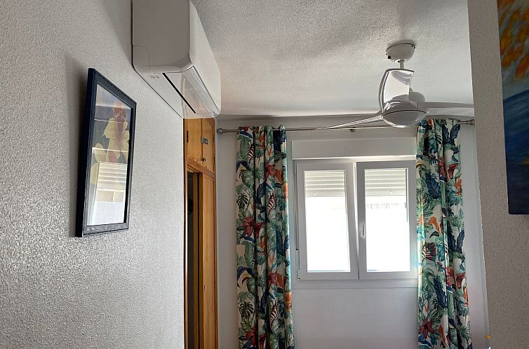 Appartement Gemütliche, helle Wohnung sehr gut ausgestattet