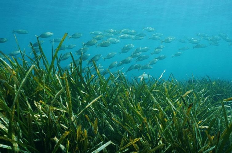 Vrijstaande woning in Benissa
